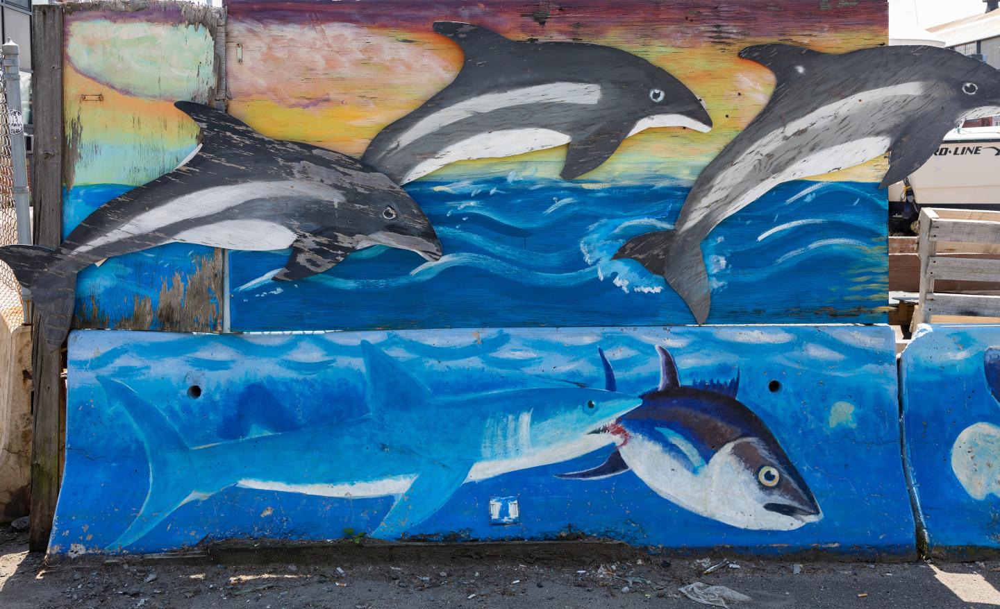 Mural painting of dolphins