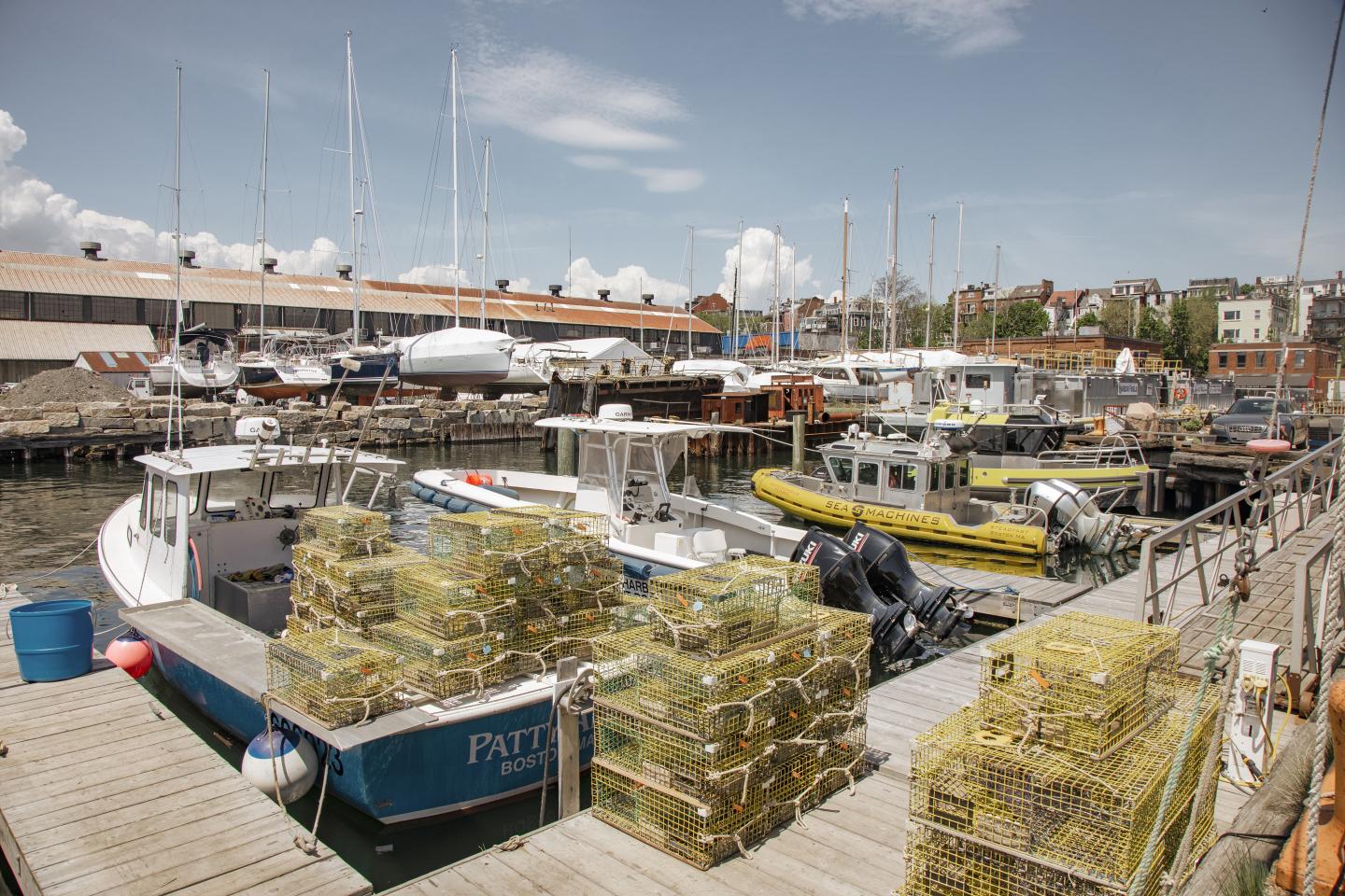 Fishing gear on a dock by a boat