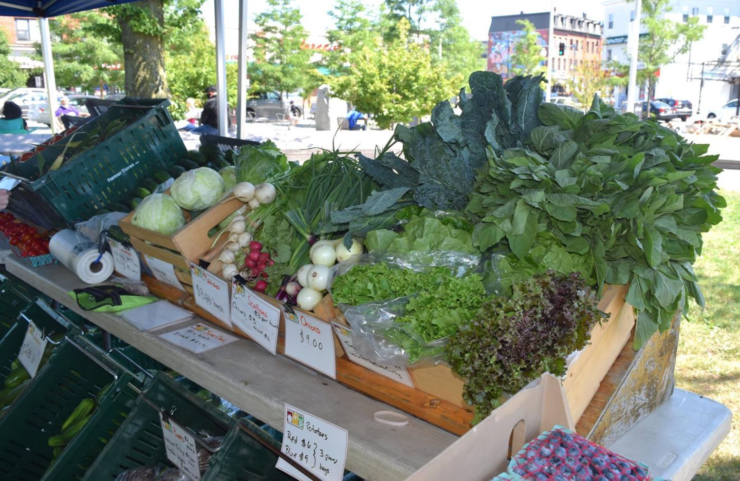 Fresh vegetables at east Boston farmers market